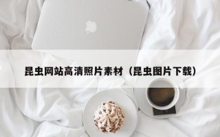 图木舒克昆虫网站高清照片素材（昆虫图片下载）